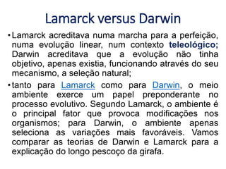 Lamarck versus Darwin
•Lamarck acreditava numa marcha para a perfeição,
numa evolução linear, num contexto teleológico;
Darwin acreditava que a evolução não tinha
objetivo, apenas existia, funcionando através do seu
mecanismo, a seleção natural;
•tanto para Lamarck como para Darwin, o meio
ambiente exerce um papel preponderante no
processo evolutivo. Segundo Lamarck, o ambiente é
o principal fator que provoca modificações nos
organismos; para Darwin, o ambiente apenas
seleciona as variações mais favoráveis. Vamos
comparar as teorias de Darwin e Lamarck para a
explicação do longo pescoço da girafa.
 
