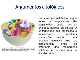 Argumentos citológicos
Consiste na constatação de que
todos os organismos são
constituídos pelas mesmas
unidades básicas: as células. A
uniformidade dos processos e
mecanismos celulares
pressupõe também uma
unidade evolutiva (ex.: as
semelhanças entre as
estruturas das membranas
celulares e os processos de
divisão celular).
Imagem: Charles Thévenin (1764–1838) / Diagrama de uma célula
animal típica. / MesserWoland e Szczepan1990, trabalho derivado:
Solarist (falar) / GNU Free Documentation License.
 