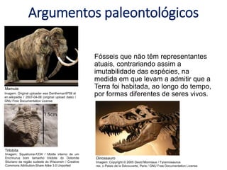 Argumentos paleontológicos
Fósseis que não têm representantes
atuais, contrariando assim a
imutabilidade das espécies, na
medida em que levam a admitir que a
Terra foi habitada, ao longo do tempo,
por formas diferentes de seres vivos.
Mamute
Trilobita
Dinossauro
Imagem: Copyright © 2005 David Monniaux / Tyrannosaurus
rex, o Palais de la Découverte, Paris / GNU Free Documentation License
Imagem: Squalicorax1234 / Molde interno de um
Encrinurus bom tamanho trilobite do Dolomite
Siluriano da região sudeste do Wisconsin / Creative
Commons Attribution-Share Alike 3.0 Unported
Imagem: Original uploader was Dantheman9758 at
en.wikipedia / 2007-04-06 (original upload date) /
GNU Free Documentation License
 