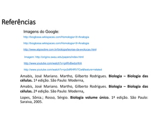 Referências
Amabis, José Mariano. Martho, Gilberto Rodrigues. Biologia – Biologia das
células. 1ª edição. São Paulo: Moderna,
Amabis, José Mariano. Martho, Gilberto Rodrigues. Biologia – Biologia das
células. 2ª edição. São Paulo: Moderna,
Lopes, Sônia.; Rosso, Sérgio. Biologia volume único. 1ª edição. São Paulo:
Saraiva, 2005.
BIOLOGIA, 1º Ano do Ensino Médio
A variabilidade de características
http://bioglossa.wikispaces.com/Homologia+X+Analogia
http://bioglossa.wikispaces.com/Homologia+X+Analogia
Imagem: http://origins.swau.edu/papers/index.html
http://www.algosobre.com.br/biologia/teorias-da-evolucao.html
Imagens do Google:
http://www.youtube.com/watch?v=g4RvBwduHhA
http://www.youtube.com/watch?v=pc0dRHRV7Cw&feature=related
 