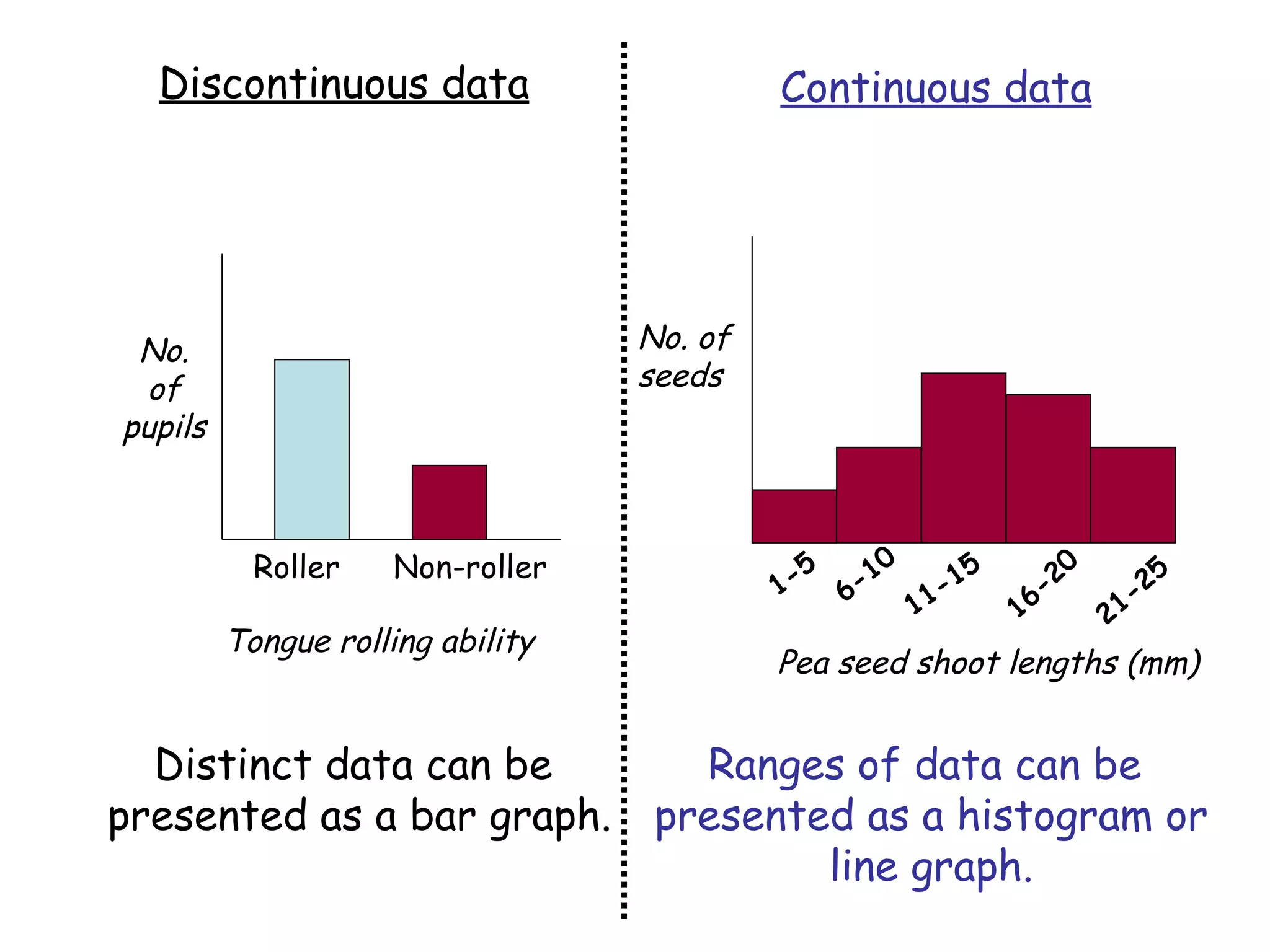 Discontinuous data Continuous data Distinct data can be  presented as a bar graph. Ranges of data can be  presented as a histogram or line graph. No. of pupils Tongue rolling ability Roller Non-roller Pea seed shoot lengths (mm) No. of seeds 1-5 6-10 11-15 16-20 21-25 