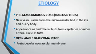 ETIOLOGY
•PRE-GLAUCOMATOUS STAGE(RUBEOSIS IRIDIS)
•New vessels arise from the microvascular bed in the iris
and ciliary body.
•Appearance as endothelial buds from capillaries of minor
arterial circle as tufts.
•OPEN ANGLE GLAUCOMA STAGE
• Pretrabecular neovascular membrane
 