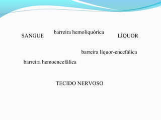barreira hemoliquórica
barreira líquor-encefálica
barreira hemoencefálica
SANGUE LÍQUOR
TECIDO NERVOSO
 
