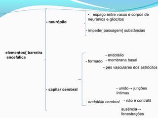 elementos{ barreira
encefálica
- neurópilo
- espaço entre vasos e corpos de
neurônios e gliócitos
- impede{ passagem{ substâncias
- capilar cerebral
- formado
- endotélio
- membrana basal
- pés vasculares dos astrócitos
- endotélio cerebral
- unido→ junções
íntimas
ausência→
fenestrações
- não é contrátil
 