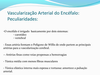 -O encéfalo é irrigado basicamente por dois sistemas:
- carotídeo
- vertebral
- Essas artéria formam o Polígono de Willis de onde partem as principais
artérias para a vascularização cerebral.
-- Artérias finas como veias propensas a hemorragias
- Túnica média com menos fibras musculares
- Túnica elástica interna mais espessa e tortuosa: amortece a pulsação
arterial.
 