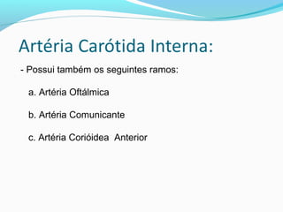 - Possui também os seguintes ramos:
a. Artéria Oftálmica
b. Artéria Comunicante
c. Artéria Corióidea Anterior
 