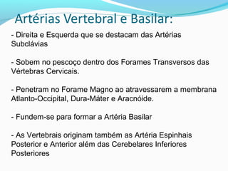 - Direita e Esquerda que se destacam das Artérias
Subclávias
- Sobem no pescoço dentro dos Forames Transversos das
Vértebras Cervicais.
- Penetram no Forame Magno ao atravessarem a membrana
Atlanto-Occipital, Dura-Máter e Aracnóide.
- Fundem-se para formar a Artéria Basilar
- As Vertebrais originam também as Artéria Espinhais
Posterior e Anterior além das Cerebelares Inferiores
Posteriores
 