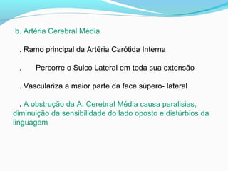 b. Artéria Cerebral Média
. Ramo principal da Artéria Carótida Interna
. Percorre o Sulco Lateral em toda sua extensão
. Vasculariza a maior parte da face súpero- lateral
. A obstrução da A. Cerebral Média causa paralisias,
diminuição da sensibilidade do lado oposto e distúrbios da
linguagem
 