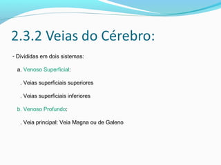 - Divididas em dois sistemas:
a. Venoso Superficial:
. Veias superficiais superiores
. Veias superficiais inferiores
b. Venoso Profundo:
. Veia principal: Veia Magna ou de Galeno
 