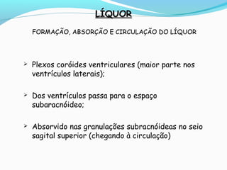 LÍQUORLÍQUOR
FORMAÇÃO, ABSORÇÃO E CIRCULAÇÃO DO LÍQUOR
 Plexos coróides ventriculares (maior parte nos
ventrículos laterais);
 Dos ventrículos passa para o espaço
subaracnóideo;
 Absorvido nas granulações subracnóideas no seio
sagital superior (chegando à circulação)
 