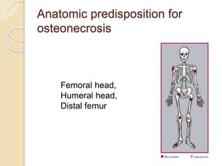 Anatomic predisposition for
osteonecrosis
Femoral head,
Humeral head,
Distal femur
 