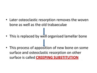 • Later osteoclastic resorption removes the woven
bone as well as the old trabaeculae
• This is replaced by well organised lamellar bone
• This process of apposition of new bone on some
surface and osteoclastic resorption on other
surface is called CREEPING SUBSTITUTION
 