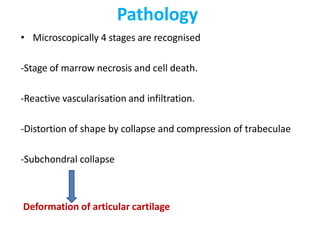 Pathology
• Microscopically 4 stages are recognised
-Stage of marrow necrosis and cell death.
-Reactive vascularisation and infiltration.
-Distortion of shape by collapse and compression of trabeculae
-Subchondral collapse
Deformation of articular cartilage
 