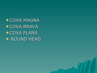  COXA MAGNA
 COXA BRAVA

 COXA PLANA

 ROUND HEAD
 