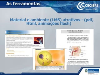 Material e ambiente (LMS) atrativos - (pdf, Html, animações flash)   As ferramentas   