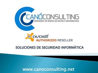 www.canoconsulting.net
 