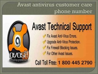 1~800~445~2790 Avast technical support phone number