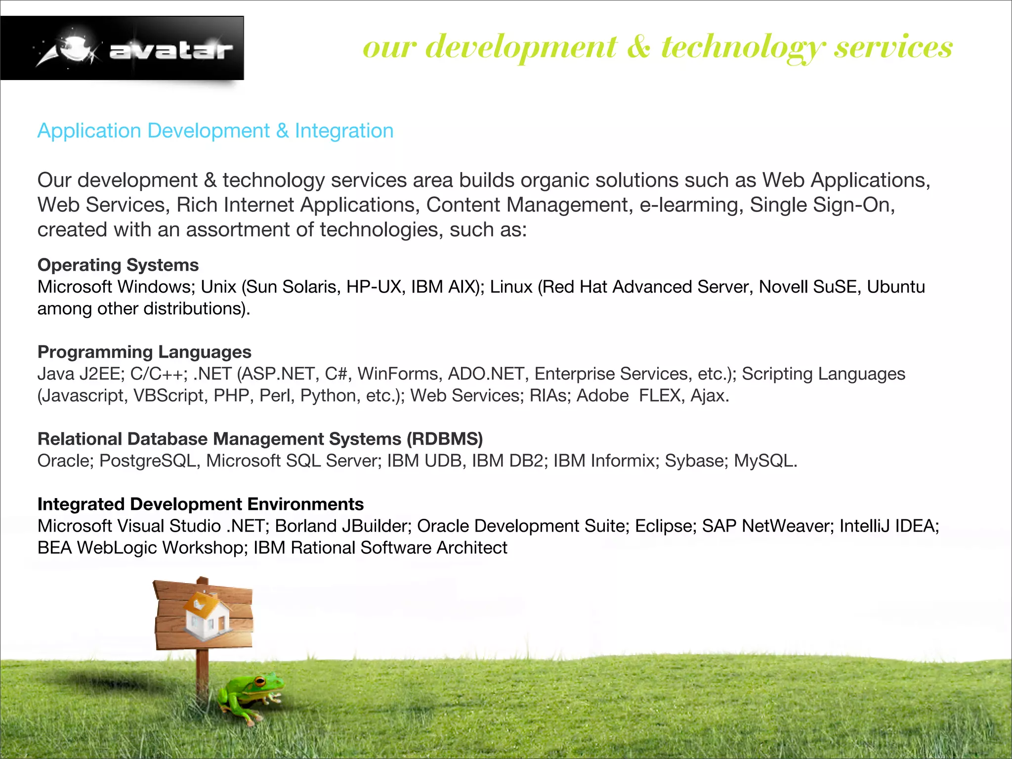 Avatar - Brief (English)