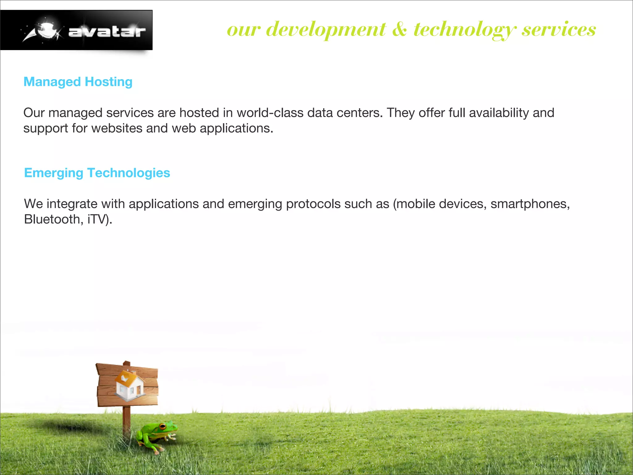 Avatar - Brief (English)