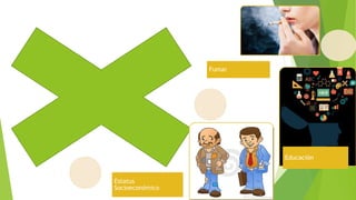 Estatus
Socioeconómico
Fumar
Educación
 