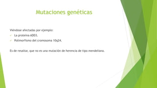 Mutaciones genéticas
Viéndose afectadas por ejemplo:
 La proteína ADD3.
 Polimorfismo del cromosoma 10q24.
Es de resaltar, que no es una mutación de herencia de tipo mendeliana.
 