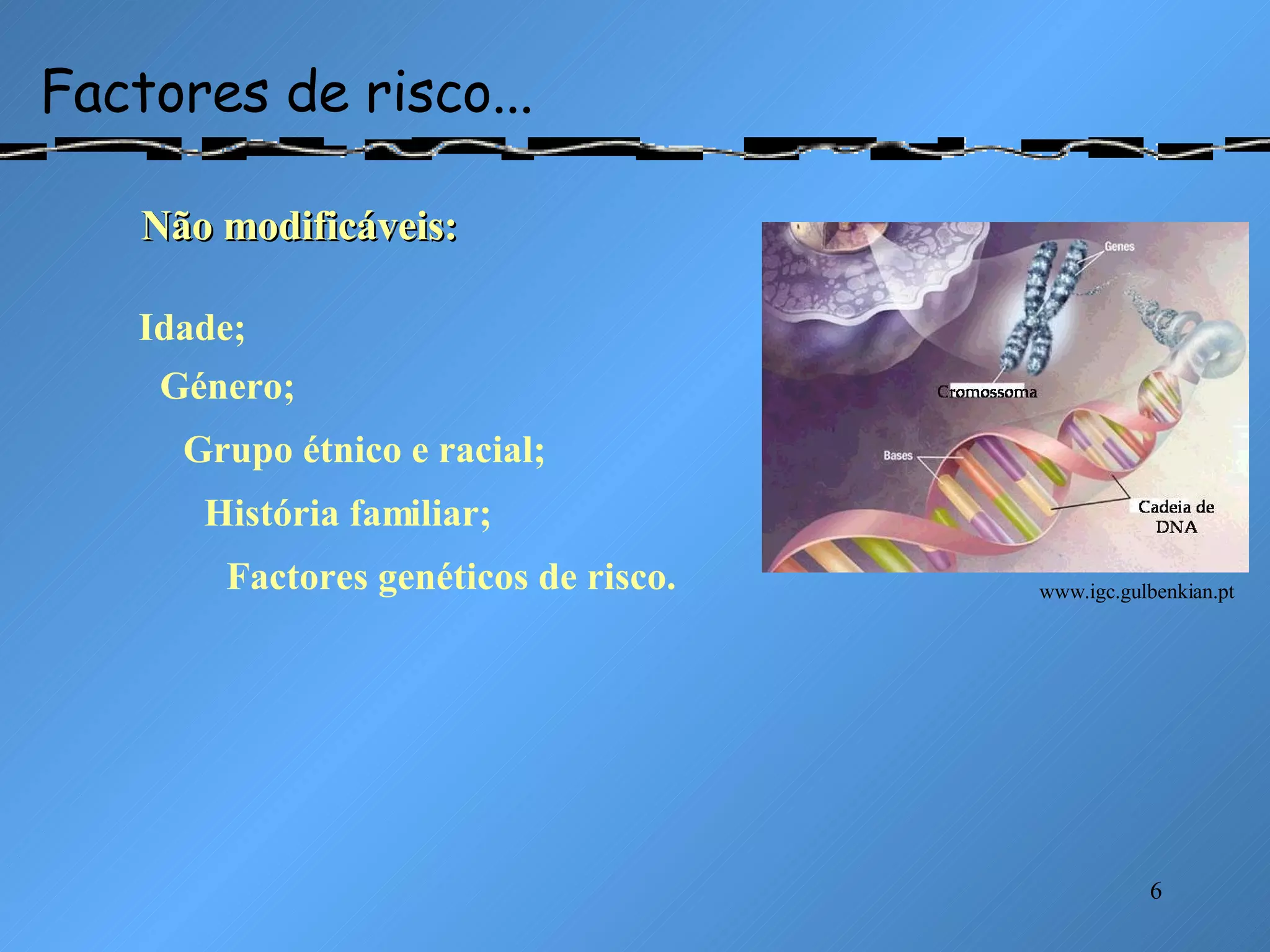 Factores de risco... Não modificáveis: Idade; Género; Grupo étnico e racial; História familiar; Factores genéticos de risco. www.igc.gulbenkian.pt 