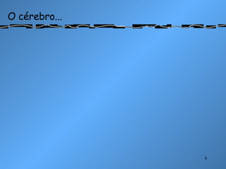 O cérebro... 