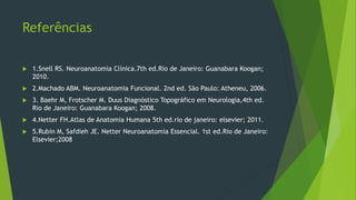 Referências
 1.Snell RS. Neuroanatomia Clínica.7th ed.Rio de Janeiro: Guanabara Koogan;
2010.
 2.Machado ABM. Neuroanatomia Funcional. 2nd ed. São Paulo: Atheneu, 2006.
 3. Baehr M, Frotscher M. Duus Diagnóstico Topográfico em Neurologia,4th ed.
Rio de Janeiro: Guanabara Koogan; 2008.
 4.Netter FH.Atlas de Anatomia Humana 5th ed.rio de janeiro: elsevier; 2011.
 5.Rubin M, Safdieh JE. Netter Neuroanatomia Essencial. 1st ed.Rio de Janeiro:
Elsevier;2008
 