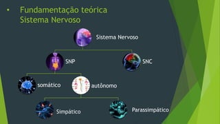• Fundamentação teórica
Sistema Nervoso
Sistema Nervoso
SNP
somático autônomo
SNC
Simpático Parassimpático
 