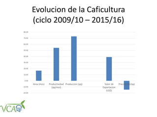 Evolucion de la Caficultura
(ciclo 2009/10 – 2015/16)
-20.00
-10.00
0.00
10.00
20.00
30.00
40.00
50.00
60.00
70.00
80.00
Area (mzs) Productividad
(qq/mzs)
Produccion (qq) Valor de
Exportacion
(US$)
Precio(US$/qq)
 