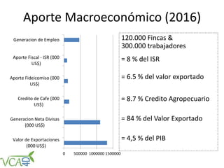 Aporte Macroeconómico (2016)
120.000 Fincas &
300.000 trabajadores
= 8 % del ISR
= 6.5 % del valor exportado
= 8.7 % Credito Agropecuario
= 84 % del Valor Exportado
= 4,5 % del PIB
0 500000 1000000 1500000
Valor de Exportaciones
(000 US$)
Generacion Neta Divisas
(000 US$)
Credito de Cafe (000
US$)
Aporte Fideicomiso (000
US$)
Aporte Fiscal - ISR (000
US$)
Generacion de Empleo
 