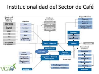 Institucionalidad del Sector de Café
AHICAFE
 
