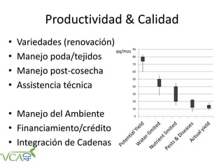 Productividad & Calidad
• Variedades (renovación)
• Manejo poda/tejidos
• Manejo post-cosecha
• Assistencia técnica
• Manejo del Ambiente
• Financiamiento/crédito
• Integración de Cadenas
0
10
20
30
40
50
60
70
80
90
qq/mzs
 