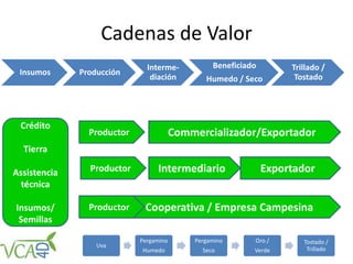 Cadenas de Valor
Insumos Producción
Interme-
diación
Beneficiado
Humedo / Seco
Trillado /
Tostado
Crédito
Tierra
Assistencia
técnica
Insumos/
Semillas
Commercializador/Exportador
Intermediario Exportador
Cooperativa / Empresa Campesina
Productor
Productor
Productor
Uva
Pergamino
Humedo
Pergamino
Seco
Oro /
Verde
Tostado /
Trillado
 