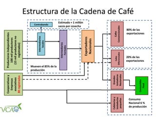 Estructura de la Cadena de Café
ProductoresIndependientes
100milproductores
(15milproductoresno
registrados)
Cooperativasy
Empresas
asociativas
80registradas
Intermediarios
locales
Intermediarios
Formales
Exportadores
Nacionales
Cafes
Diferenciados
Cafes
Convencionales
Cafeteriasy
tostadurias
pequeñas
Consumidor
Final
Grandes
tostadoras
Nacionales
Contrabando
Consumo
Nacional 6 %
de producción
v
Estimado + 1 millón
sacos por cosecha
80% de las
exportaciones
20% de las
exportaciones
v
Mueven el 85% de la
producción
 