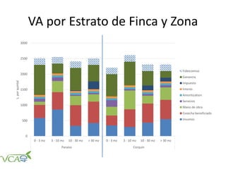 VA por Estrato de Finca y Zona
0
500
1000
1500
2000
2500
3000
0 - 3 mz 3 - 10 mz 10 - 30 mz > 30 mz 0 - 3 mz 3 - 10 mz 10 - 30 mz > 30 mz
Paraiso Corquin
L.porquintal
Fideicomiso
Ganancia
Impuesto
Interes
Amoritization
Servicios
Mano de obra
Cosecha beneficiado
Insumos
 