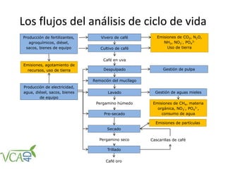 Los flujos del análisis de ciclo de vida
Cultivo de café
Despulpado
Lavado
Gestión de pulpa
Gestión de aguas mieles
Pre-secado
Café en uva
Pergamino húmedo
Pergamino seco
Café oro
Trillado
Vivero de café
Remoción del mucílago
Secado
Producción de fertilizantes,
agroquímicos, diésel,
sacos, bienes de equipo
Producción de electricidad,
agua, diésel, sacos, bienes
de equipo
Emisiones de CO2, N2O,
NH3, NO3
-, PO4
3-
Uso de tierra
Emisiones de CH4, materia
orgánica, NO3
-, PO4
3-,
consumo de agua
Emisiones, agotamiento de
recursos, uso de tierra
Emisiones de partículas
Cascarillas de café
 