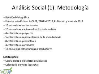Análisis Social (1): Metodología
• Revisión bibliográfica
• Fuentes estadísticas: IHCAFE, EPHPM 2016, Población y vivienda 2013
• 15 entrevistas institucionales
• 10 entrevistas a actores directos de la cadena
• 4 entrevistas a proyectos
• 5 entrevistas a representantes de la sociedad civil
• 8 entrevistas a productores
• 4 entrevistas a cortadores
• 12 encuestas estructuradas a productores
Limitaciones:
• Confiablidad de los datos estadísticos
• Calendario de visita (cosecha)
 