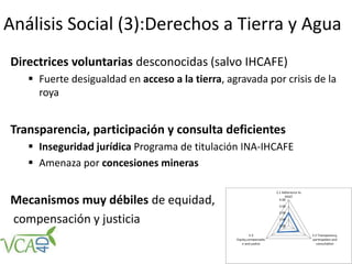 Análisis Social (3):Derechos a Tierra y Agua
Directrices voluntarias desconocidas (salvo IHCAFE)
 Fuerte desigualdad en acceso a la tierra, agravada por crisis de la
roya
Transparencia, participación y consulta deficientes
 Inseguridad jurídica Programa de titulación INA-IHCAFE
 Amenaza por concesiones mineras
Mecanismos muy débiles de equidad,
compensación y justicia
 