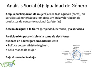 Analisis Social (4): Igualdad de Género
Amplia participación de mujeres en la fase agrícola (corte), en
servicios administrativos (empresas) y en la valorización de
productos de consumo nacional (cafeterías)
Acceso desigual a la tierra (propiedad, herencia) y a servicios
Participación poco visible a la toma de decisiones
Avances en liderazgo y empoderamiento
• Política cooperativista de género
• Sello Manos de mujer
Baja dureza del trabajo
0.00
1.00
2.00
3.00
4.00
3.1 Economic
activities
3.2 Access to
resources and
services
3.3 Decision
making
3.4 Leadership
and
empowerme…
3.5 Hardship
and division of
labour
 