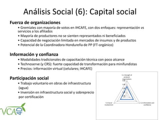 Análisis Social (6): Capital social
Fuerza de organizaciones
• Gremiales con mayoría de votos en IHCAFE, con dos enfoques: representación vs
servicios a los afiliados
• Mayoría de productores no se sienten representados ni beneficiados
• Capacidad de negociación limitada en mercados de insumos y de productos
• Potencial de la Coordinadora Hondureña de PP (FT-orgánico)
Información y confianza
• Modalidades tradicionales de capacitación técnica con poco alcance
• Technoserve (y CRS): fuerte capacidad de transformación para minifundistas
• Precios: información virtual (celulares; IHCAFE)
Participación social
• Trabajo voluntario en obras de infraestructura
(agua)
• Inversión en infraestructura social y sobreprecio
por certificación
 