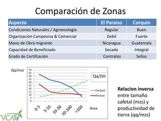 Comparación de Zonas
Aspecto El Paraiso Corquin
Condiciones Naturales / Agroecología Regular Buen
Organización Campesina & Comercial Debil Fuerte
Mano de Obra migrante Nicaragua Guatemala
Capacidad de Beneficiado Secado Integral
Grado de Certifcación Contratos Sellos
0
5
10
15
20
25
30
35
40
45
50
Corquin
Paraiso
Qq/DH
Relacion inversa
entre tamaño
cafetal (mzs) y
productividad de
tierra (qq/mzs)
Qq/mzs
Area
 
