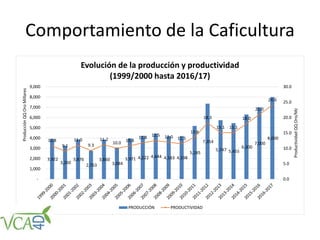 Comportamiento de la Caficultura
3,922
3,260
3,876
2,763
3,860
3,084
3,971 4,222 4,444 4,183 4,198
5,185
7,354
5,747 5,455
6,300
7,000
8,00010.8
9.1
11.0
9.3
11.2
10.0 10.8
11.8 12.5 12.0 11.5
13.6
18.3
15.1 15.1
18.0
21.0
24.0
0.0
5.0
10.0
15.0
20.0
25.0
30.0
-
1,000
2,000
3,000
4,000
5,000
6,000
7,000
8,000
9,000
ProductividadQQOro/Mz
ProducciónQQOroMillares
Evolución de la producción y productividad
(1999/2000 hasta 2016/17)
PRODUCCIÓN PRODUCTIVIDAD
 