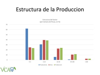 Estructura de la Produccion
0
10
20
30
40
50
60
70
0-3 3-10 10-30 30-100 >100
Estructura del Sector
(por tamano de fincas, en %)
Productores Area Produccion
 