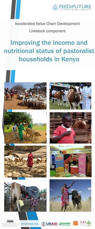 Accelerated Value Chain Development
Livestock component
This poster is licensed for use under
a Creative Commons Attribution 4.0
International Licence July 2016
avcdkenya.net
Improving the income and
nutritional status of pastoralist
households in Kenya
 
