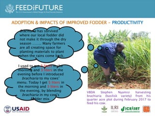 Accelerated Value Chain Development (AVCD) Dairy Component