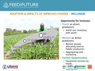 Accelerated Value Chain Development (AVCD) Dairy Component