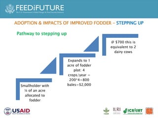 Accelerated Value Chain Development (AVCD) Dairy Component