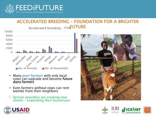 Accelerated Value Chain Development (AVCD) Dairy Component