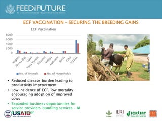 Accelerated Value Chain Development (AVCD) Dairy Component